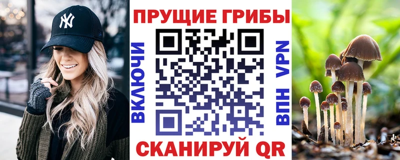 Галлюциногенные грибы Magic Shrooms  Вичуга 