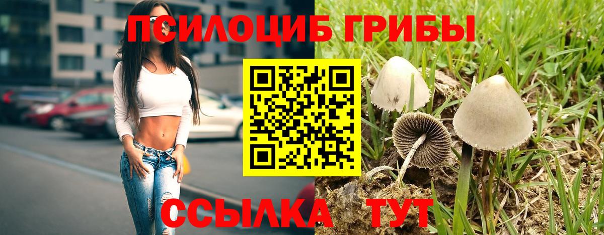 Галлюциногенные грибы мухоморы  Вход с VPN  Вичуга 